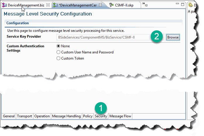 ProxySKP